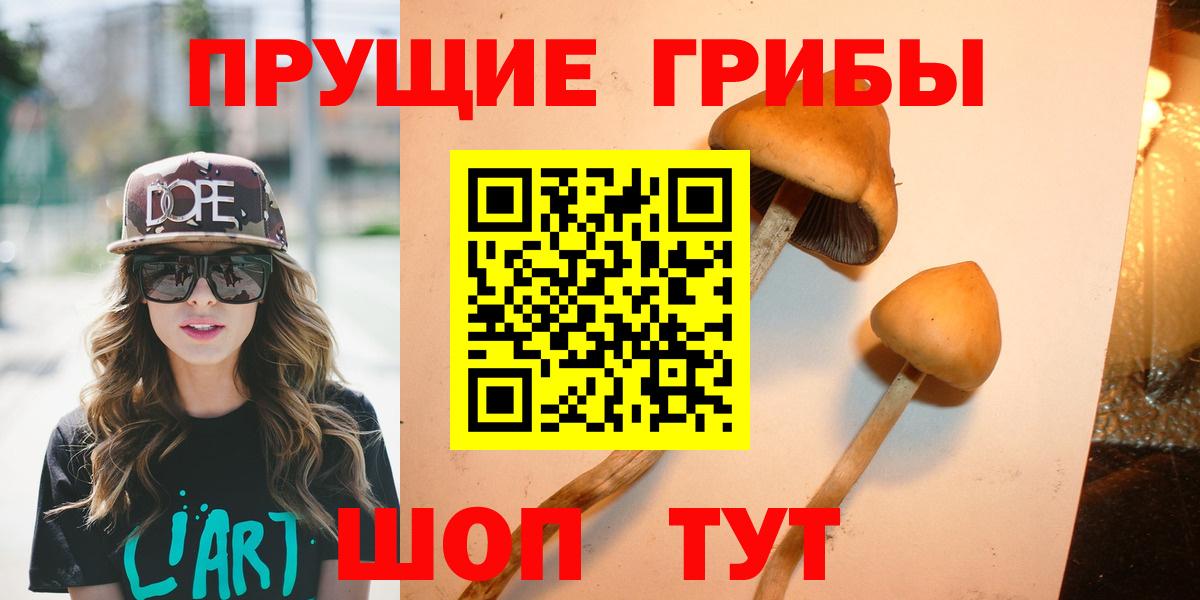 Псилоцибиновые грибы MAGIC MUSHROOMS  Псилоцибиновые грибы Magic Shrooms  Вход с VPN  Кропоткин 